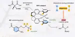 Asymmetric decarboxylative protonation enabled by an anchoring group that enhances noncovalent interactions