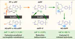 Dechlorination helps defluorination: Insights into the defluorination mechanism of florfenicol and DFT calculations on the reaction path-ways